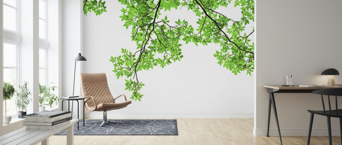 PHOTOWALL / Green Leaf (e317885)