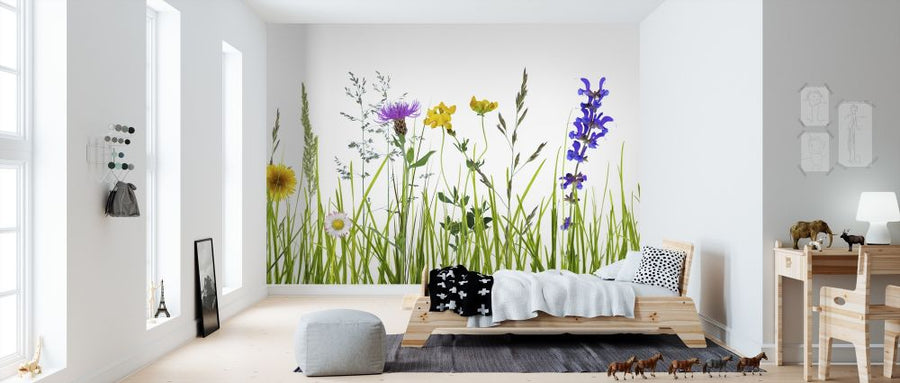 PHOTOWALL / Wildflower Meadow (e317888)