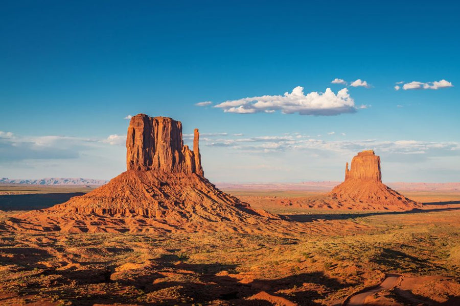 PHOTOWALL / West and East Mittens Buttes (e317890)