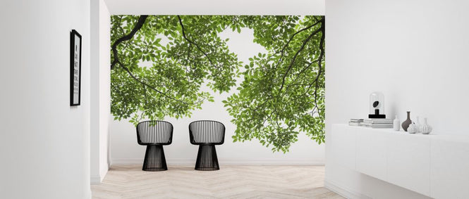 PHOTOWALL / Green Tree Leaves and Branches (e317892)