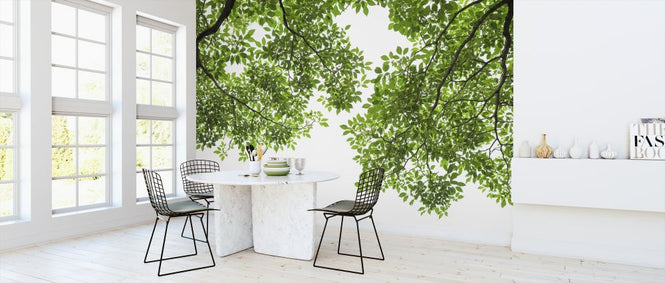 PHOTOWALL / Green Tree Leaves and Branches (e317892)