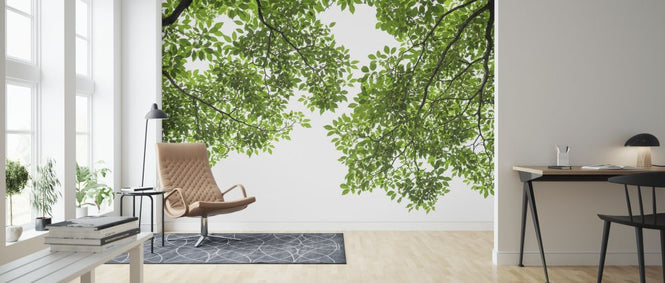 PHOTOWALL / Green Tree Leaves and Branches (e317892)
