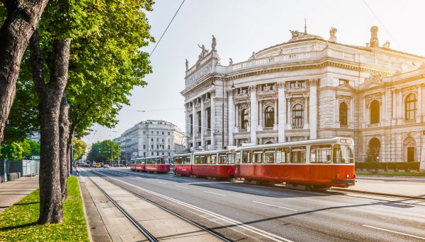 PHOTOWALL / Tram at Sunrise (e317922)