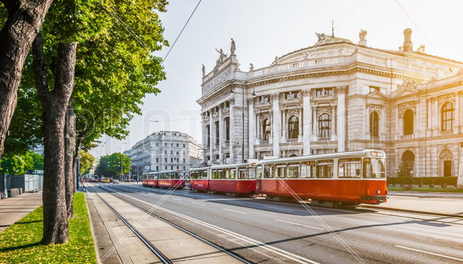 PHOTOWALL / Tram at Sunrise (e317922)