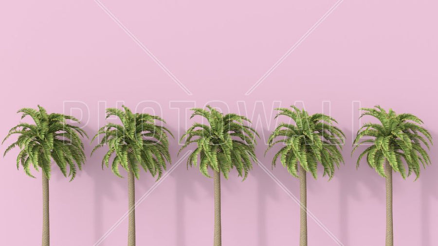 PHOTOWALL / Palm Tree (e317961)