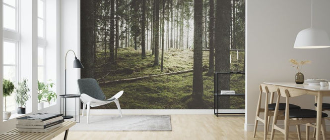 PHOTOWALL / Beautiful Woods Forest (e318024)