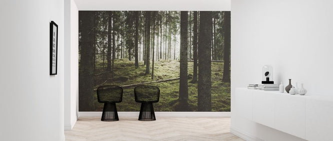 PHOTOWALL / Beautiful Woods Forest (e318024)