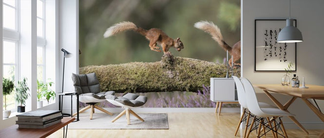 PHOTOWALL / Squirrels Running on Log (e318052)