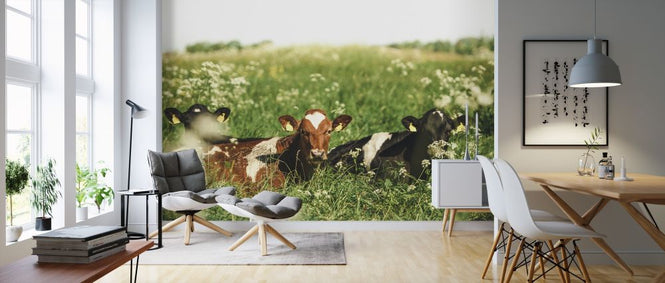 PHOTOWALL / Cows in the Field (e318095)