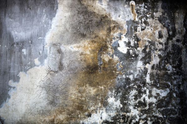 PHOTOWALL / Grunge Wall (e318114)