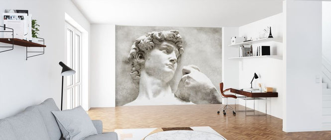 PHOTOWALL / David Statue by Michelangelo (e319908)