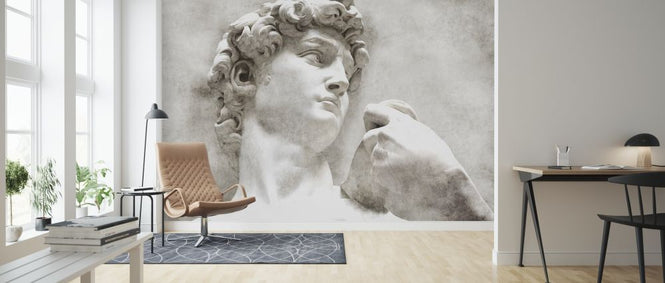 PHOTOWALL / David Statue by Michelangelo (e319908)