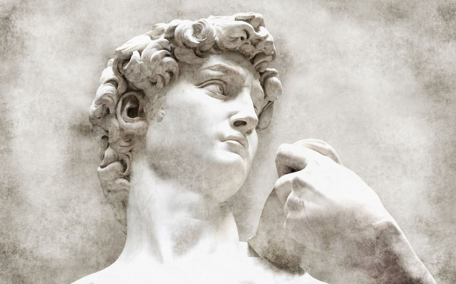 PHOTOWALL / David Statue by Michelangelo (e319908)
