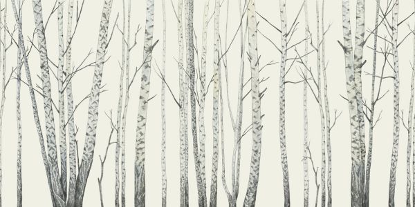 PHOTOWALL / Birch Stems - Cream (e319927)