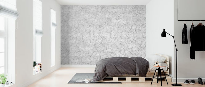PHOTOWALL / Entirely Cracked Wall (e320286)