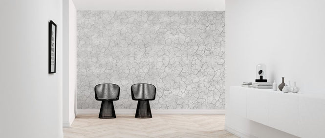 PHOTOWALL / Entirely Cracked Wall (e320286)