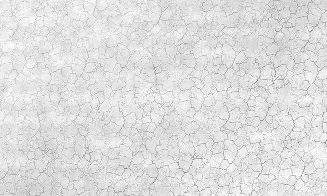 PHOTOWALL / Entirely Cracked Wall (e320286)