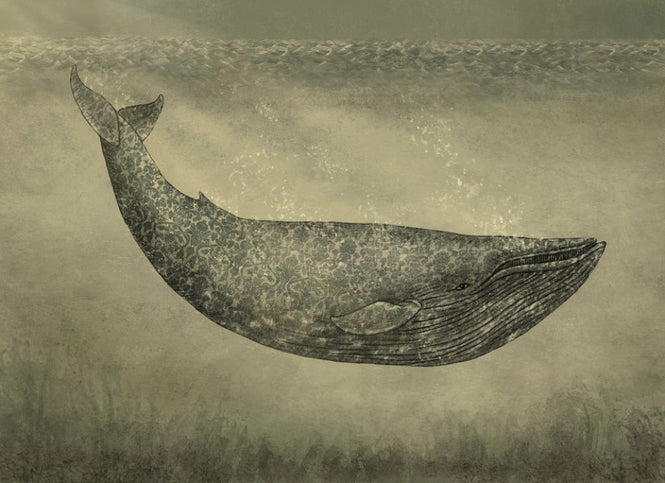 PHOTOWALL / Damask Whale (e320016)