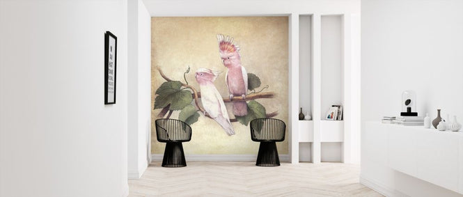 PHOTOWALL / Pink Cockatoos (e320043)