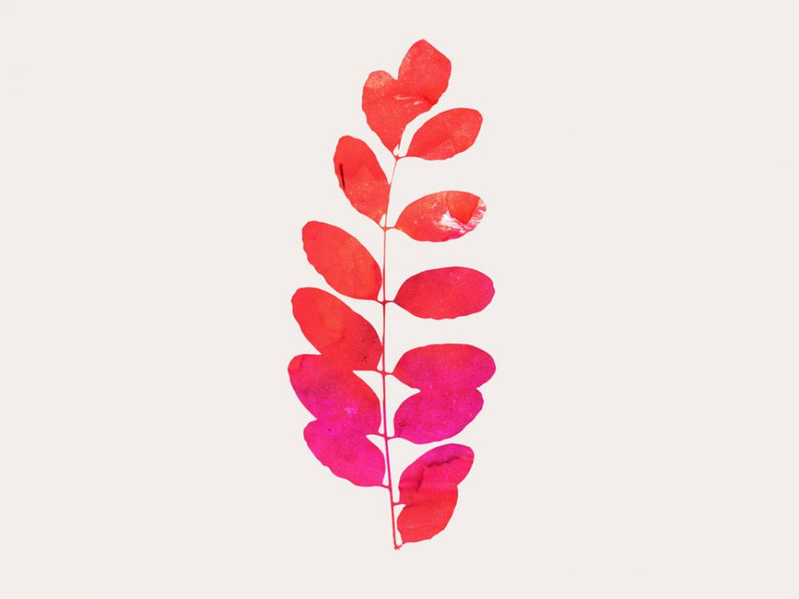 PHOTOWALL / Leaf Print - Pink (e319448)