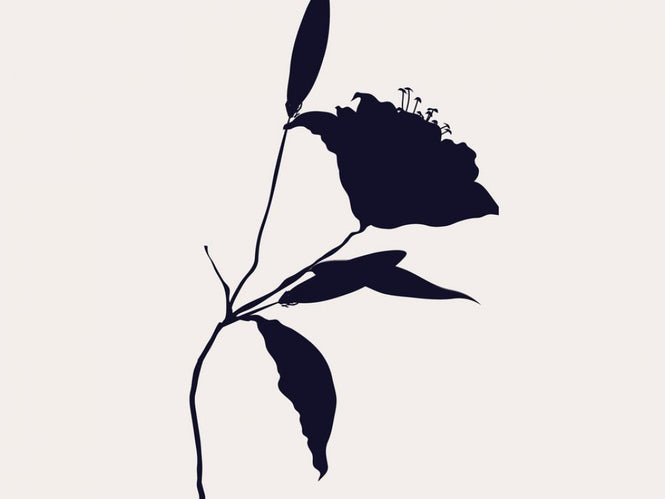 PHOTOWALL / Nero (e319454)