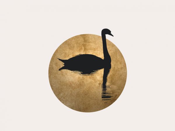 PHOTOWALL / Swan (e319463)