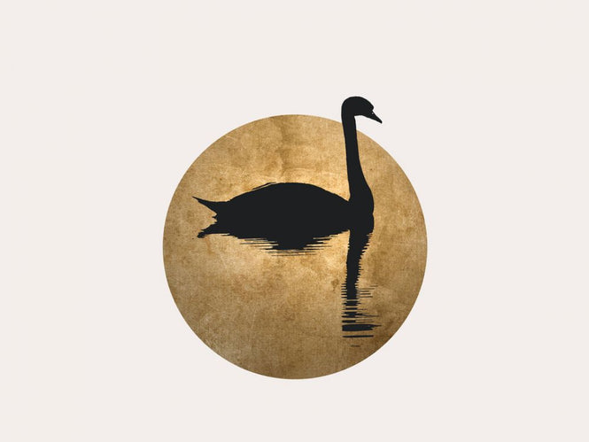 PHOTOWALL / Swan (e319463)