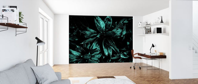 PHOTOWALL / X-Ray (e319464)