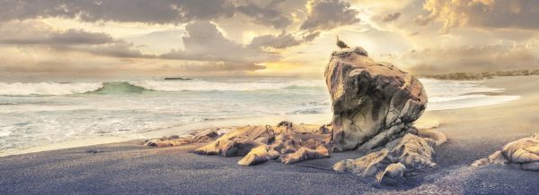 PHOTOWALL / Rock on Beach Shore (e318944)