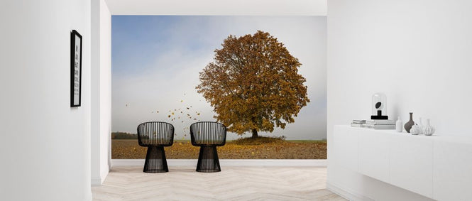 PHOTOWALL / Autumn Maple Tree (e318266)
