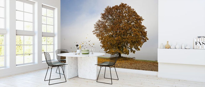 PHOTOWALL / Autumn Maple Tree (e318266)