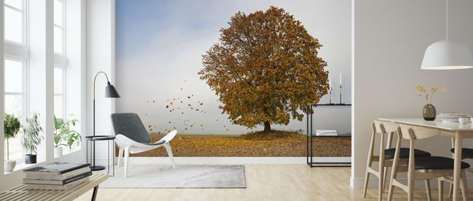 PHOTOWALL / Autumn Maple Tree (e318266)