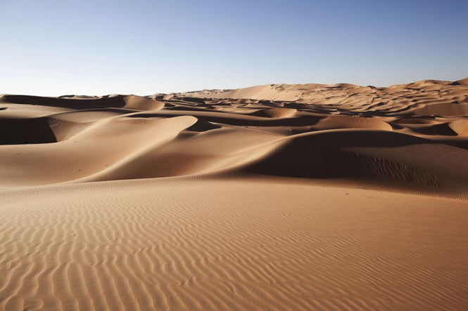 PHOTOWALL / Desert Sand Dunes (e318267)