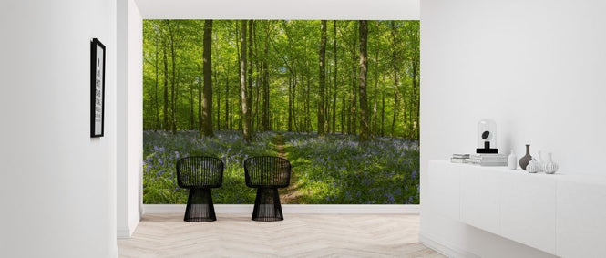 PHOTOWALL / Forest Earth Trail (e318268)