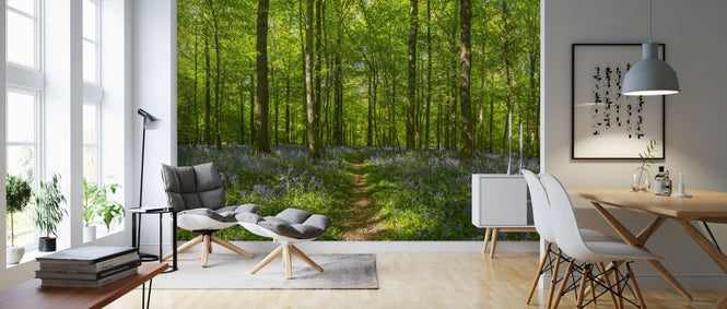 PHOTOWALL / Forest Earth Trail (e318268)