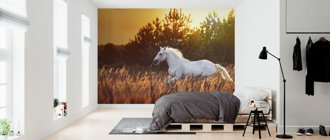 PHOTOWALL / White Horse Run (e318272)