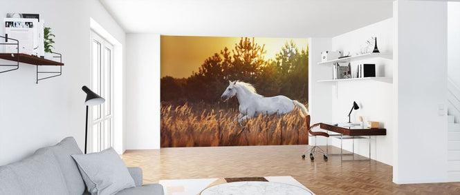 PHOTOWALL / White Horse Run (e318272)