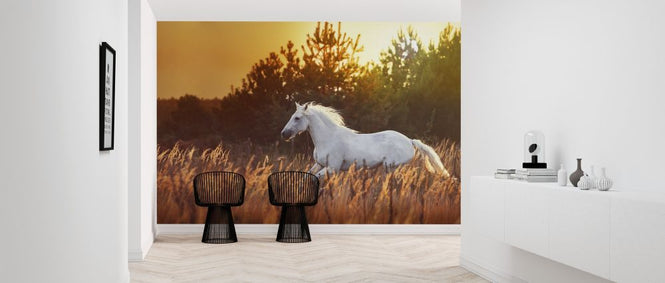 PHOTOWALL / White Horse Run (e318272)