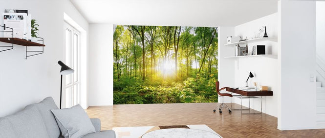 PHOTOWALL / Sunset in the Forest (e318277)