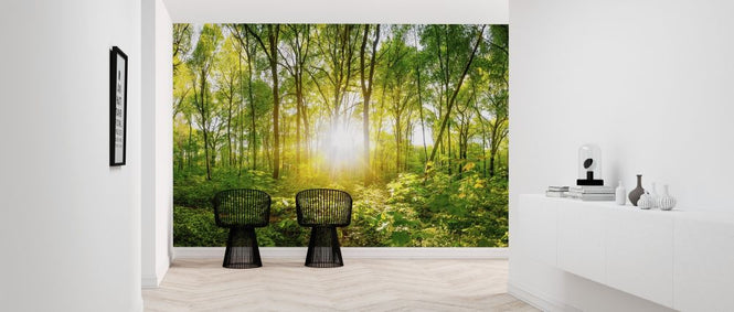 PHOTOWALL / Sunset in the Forest (e318277)