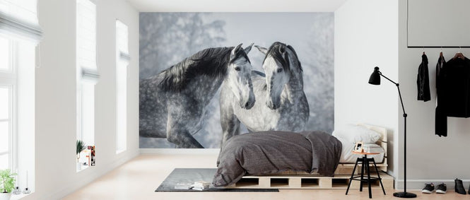 PHOTOWALL / Winter Forest Horses (e318281)