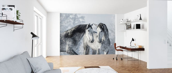 PHOTOWALL / Winter Forest Horses (e318281)