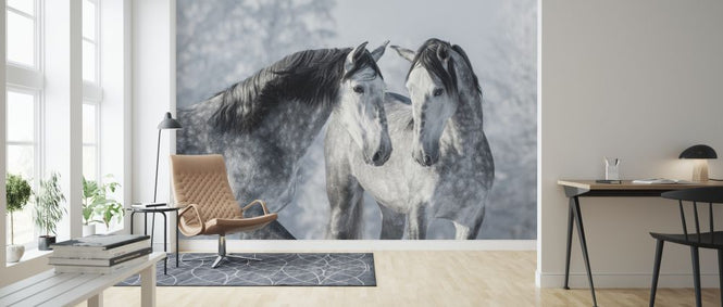 PHOTOWALL / Winter Forest Horses (e318281)