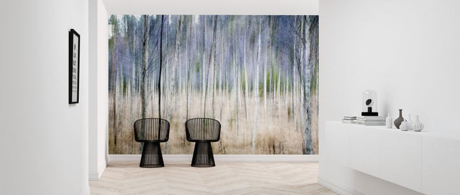 PHOTOWALL / Autumn Birch Forest (e318282)