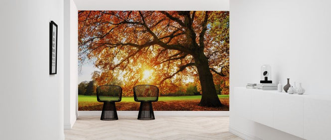 PHOTOWALL / Majestic Oak Tree (e318284)