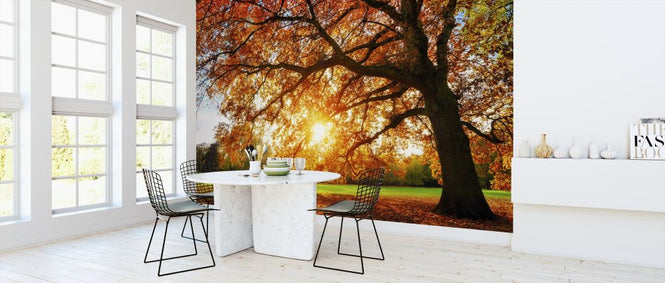 PHOTOWALL / Majestic Oak Tree (e318284)