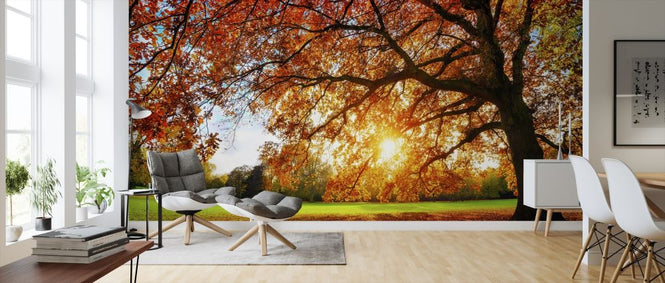PHOTOWALL / Majestic Oak Tree (e318284)