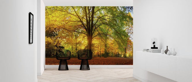 PHOTOWALL / Forest in Autumn (e318285)