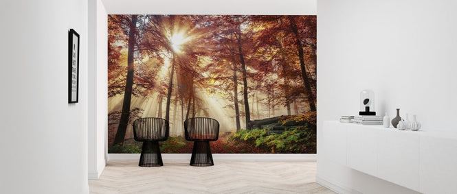 PHOTOWALL / Misty Autumn Forest (e318286)