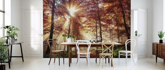 PHOTOWALL / Misty Autumn Forest (e318286)